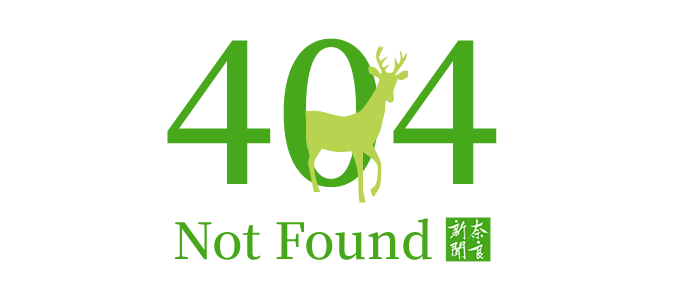 404 Not Found